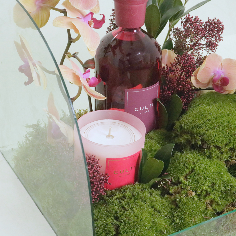 ERA & MAGNOLIA GIFT SET
