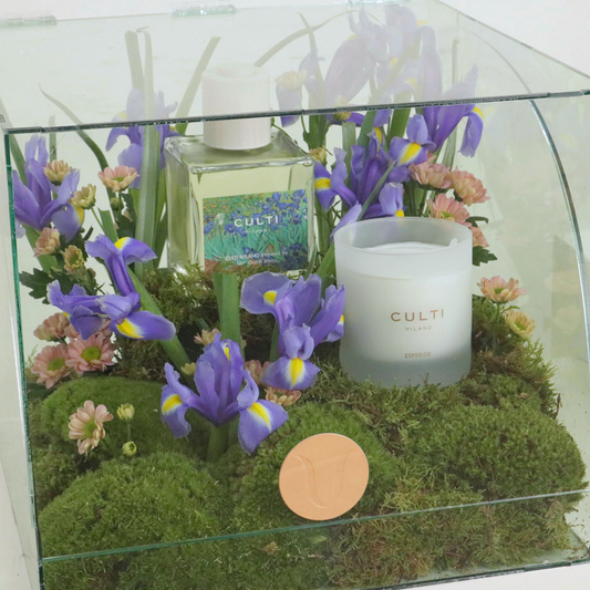 VAN GOGH & GELSOMINO GIFT SET