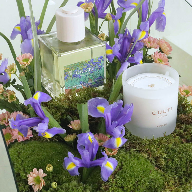 VAN GOGH & GELSOMINO GIFT SET