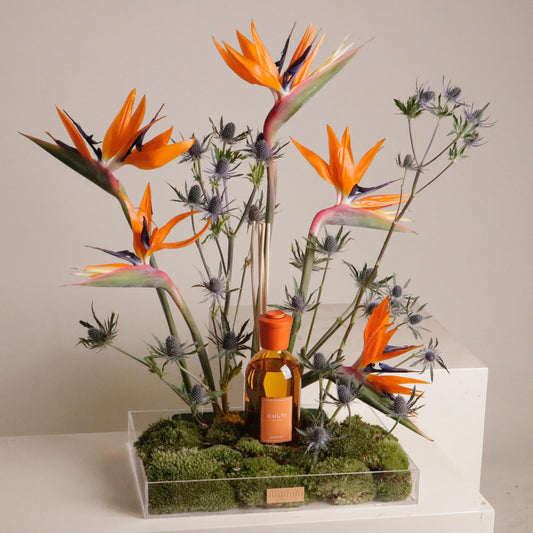 FLOWER & DIFFUSER GIFT ORANGE