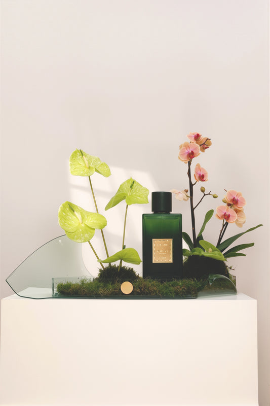 Elie Saab Gift Set
