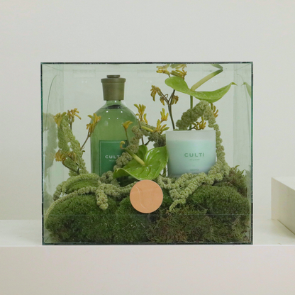 THÉ & MENTHA GIFT SET