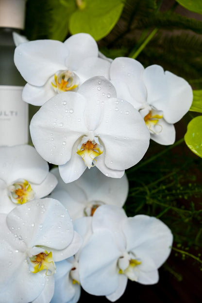 Stile Diffuser Flower Set