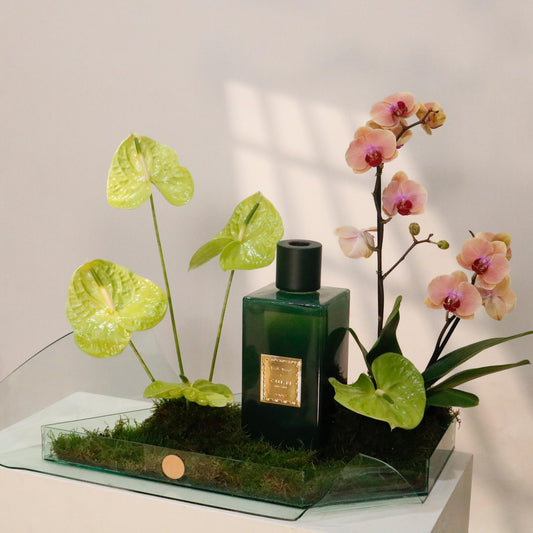 Elie Saab Gift Set