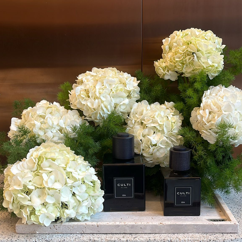 Decor Diffuser Gift Set